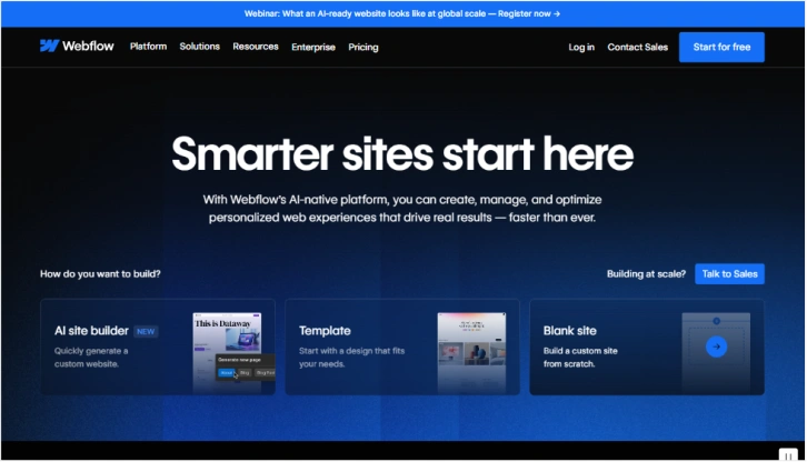 Webflow (Profesional & Powerful)